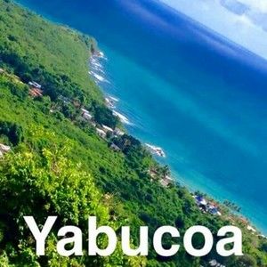 Meet your Posher, Pedro